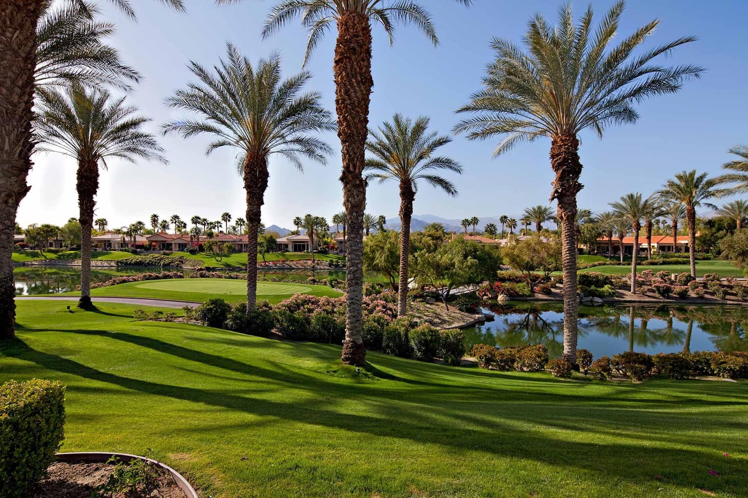 Palms and fairways in a Coachella Valley golf community
